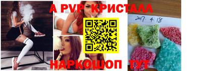 дмт Кингисепп