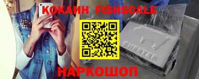 дмт Кингисепп