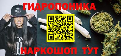 ешки Кимры