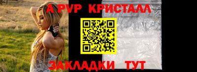 дмт Кингисепп