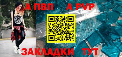 дмт Кингисепп