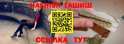 дмт Кингисепп